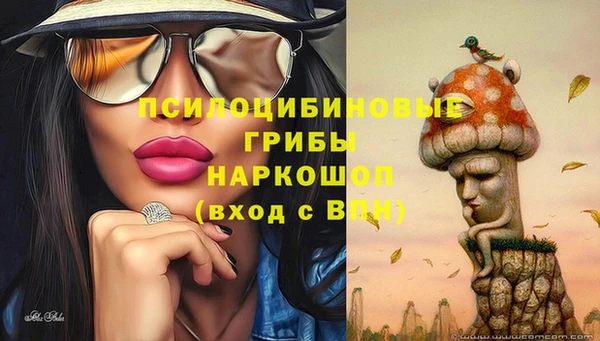 мяу мяу мука Балабаново