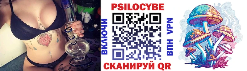 kraken   Луза  Галлюциногенные грибы Psilocybine cubensis 